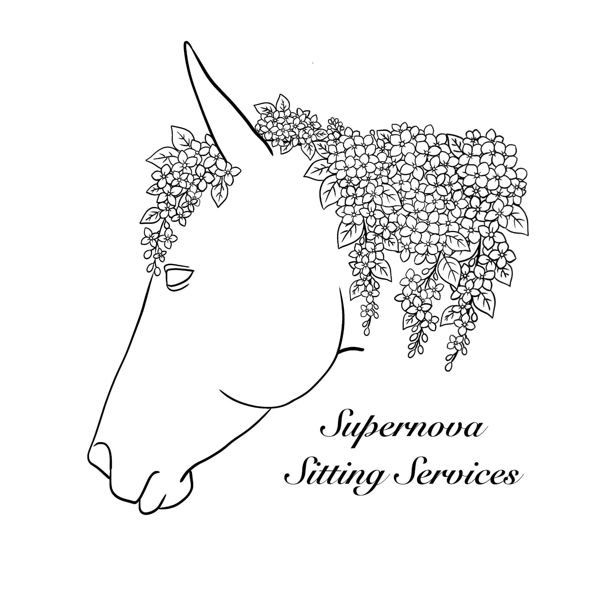 Supernova Sitting Services